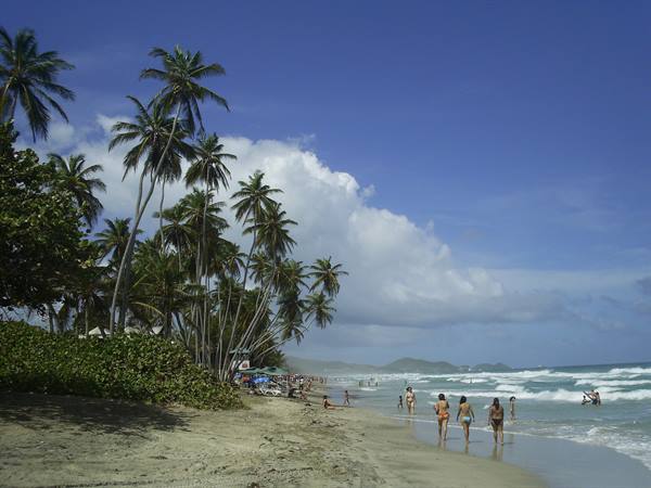 Visitors walk along the shore among leaning palms on a tropical beach