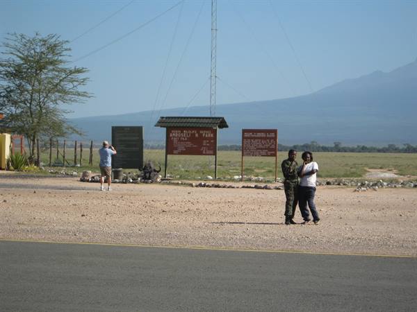 safari