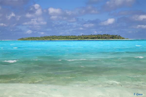 Turquoise