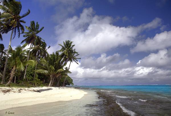 Tropical enchantment