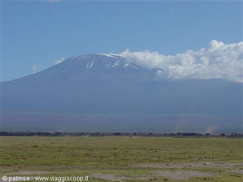 Kilimanjaro