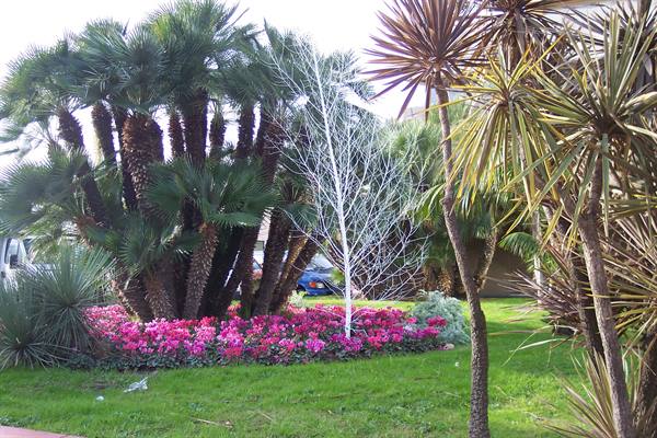 gardens
