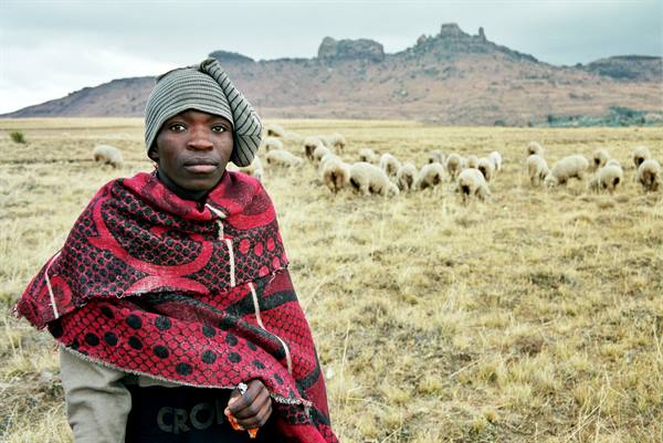 Shepherd in red blanket and cap watches sheep on dry grassland, rocky hills