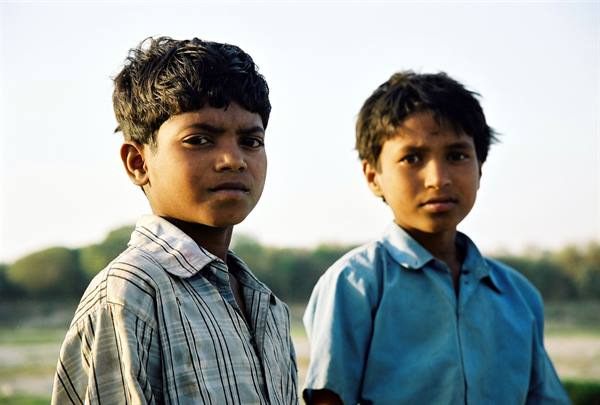 Two boys in shirts look at the camera, golden light over green countryside