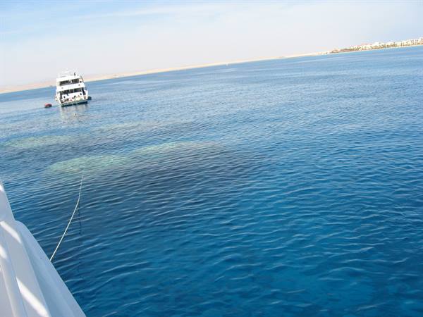 snorkeling at the 7 columns