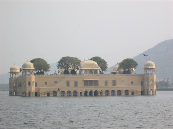 Jal Mahal palace rises from Man Sagar Lake in Jaipur