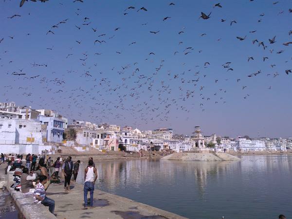 Pushkar sacred lake