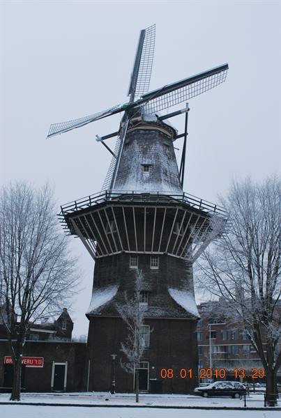 windmill