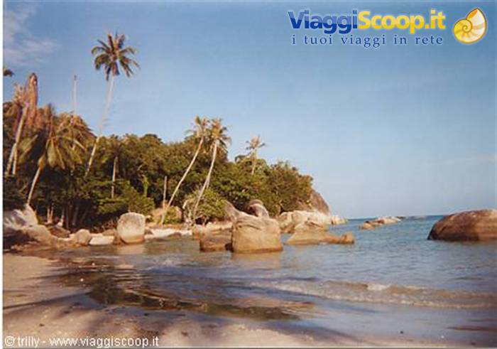Leaning palms on beach with granite boulders in clear water, blue sky