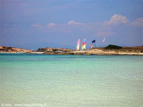 Colorful sailboats on turquoise water, rocky shore under a blue sky