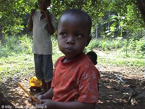 Child in red shirt holding a pen among green trees and vegetation