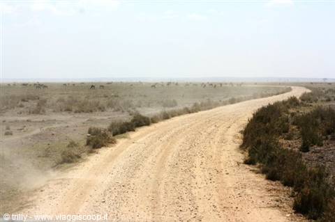 Dusty dirt road crossing the savanna, herds of animals grazing in the distance