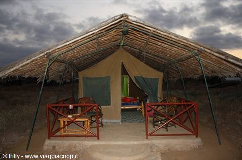 Safari tent under a thatched branch roof with wooden chairs on the veranda