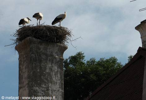 Storks standing on their nest atop a stone chimney under cloudy sky