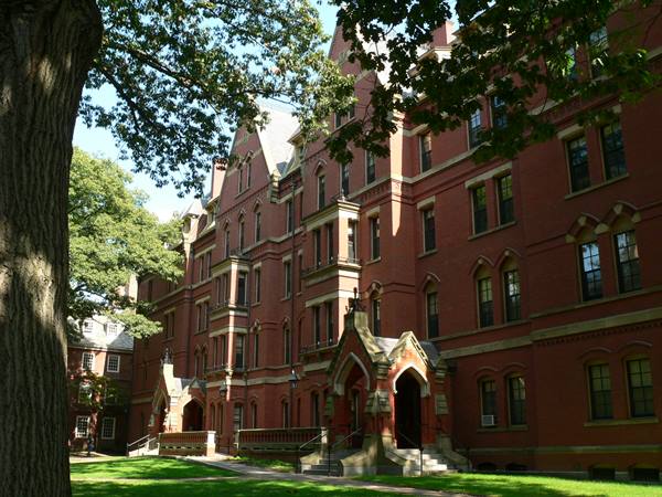 Harvard University