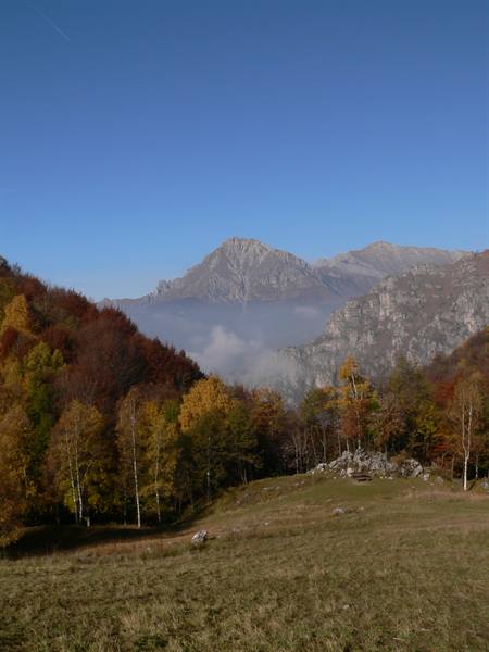 Autumn woods and meadow beneath the Apuan Alps, fog in the valley
