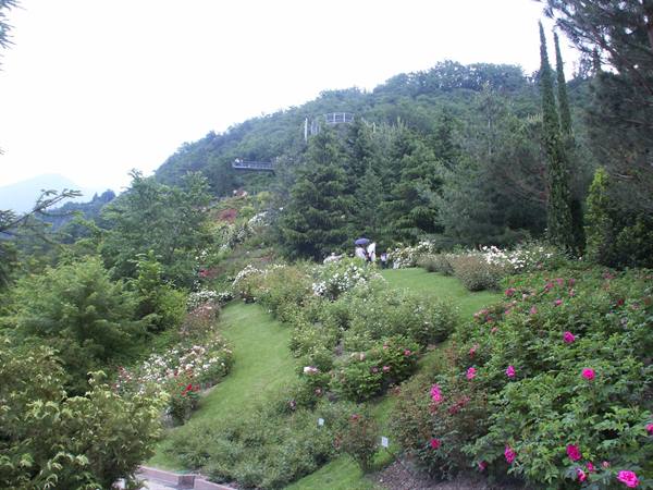 Merano 051 - Gardens of Trauttmansdorff Castle