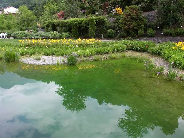 Merano 067 - Gardens of Trauttmansdorff Castle