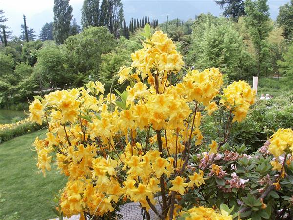 Merano 073 - Gardens of Trauttmansdorff Castle