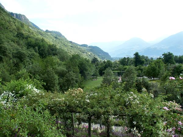 Merano 089 - Gardens of Trauttmansdorff Castle