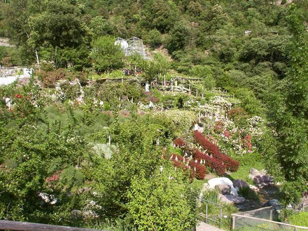 Merano 096 - Gardens of Trauttmansdorff Castle