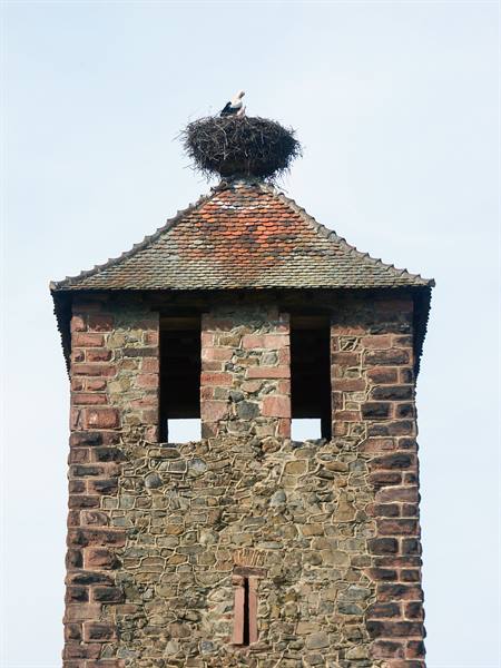 050 - Kaysersberg