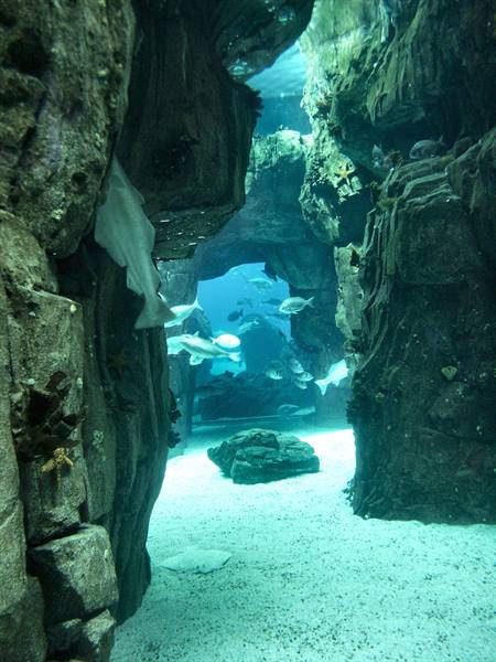 01 Lisbon - 06.30 Parque das Nações - Oceanarium
