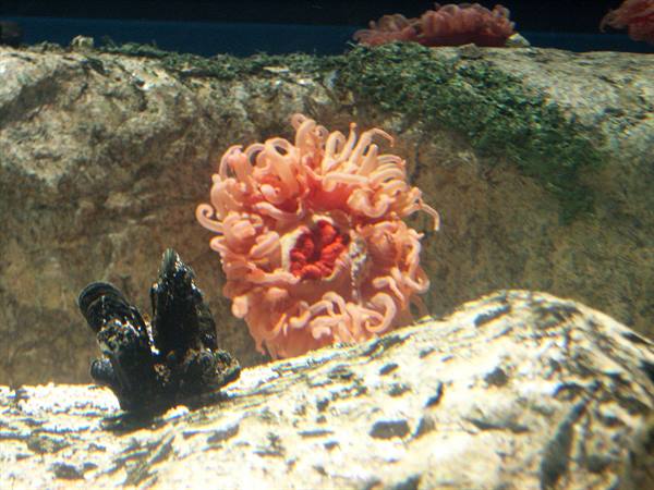 01 Lisbon - 06.34 Parque das Nações - Oceanarium