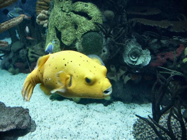 01 Lisbon - 06.48 Parque das Nações - Oceanarium