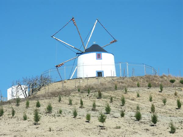 06.02 from Mafra to Óbidos - Windmill