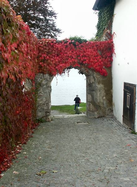Salzkammergut 051 - Traunsee - Traunkirchen