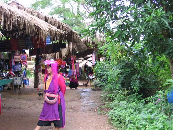 Chiang Mai Maetaman