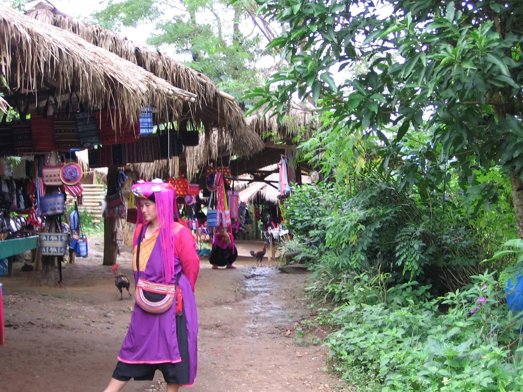 Chiang Mai Maetaman