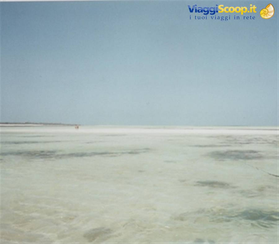 Malindi: the marine safari
