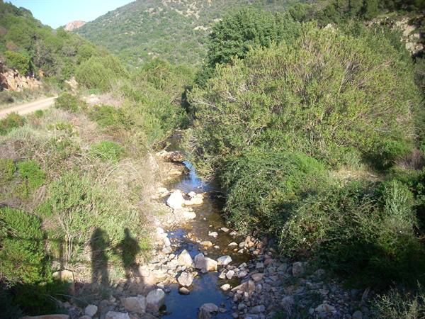 The dried-up river tributary