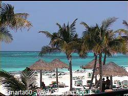 Beach with palm trees, thatched umbrellas and turquoise Caribbean sea