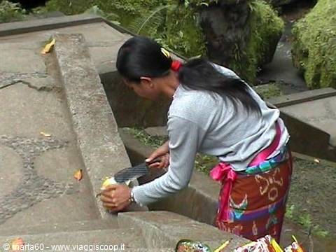 Woman in batik sarong places offerings on mossy stone temple steps