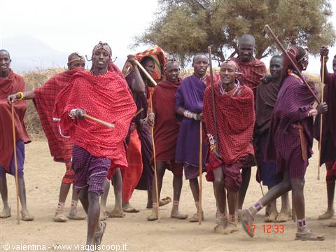 the Maasai