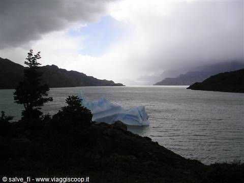 Lake Grey (Towers of Paine Park)