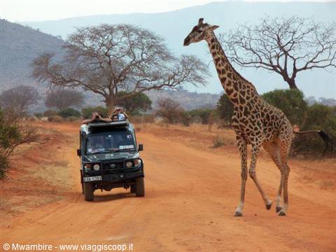 guide tsavo east