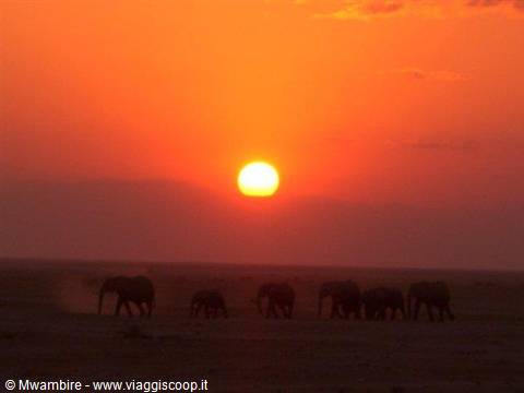 sunset ngutuni