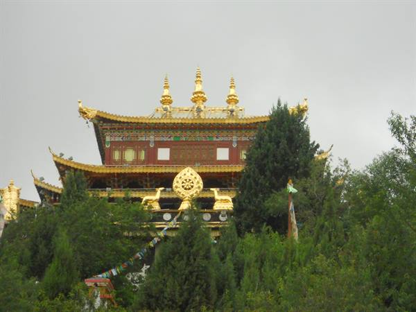 Tibetan temple with golden roof and dharma wheel, surrounded by trees, grey sky