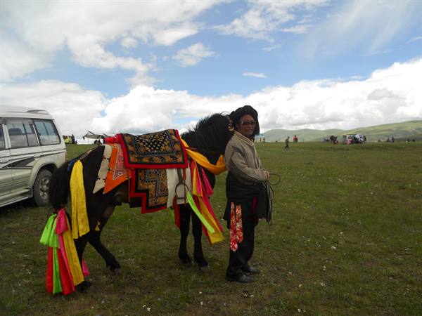 nomad at a festival