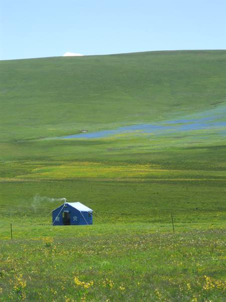 Blue tent tent with smoking chimney on green meadow with yellow flowers