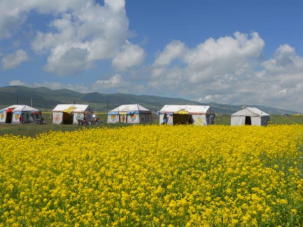 camp near lake Qinghai - Hu