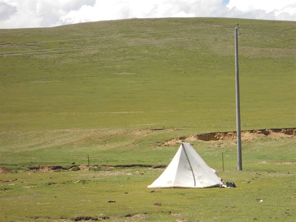 White canvas tent pitched on green grassland beside a utility pole