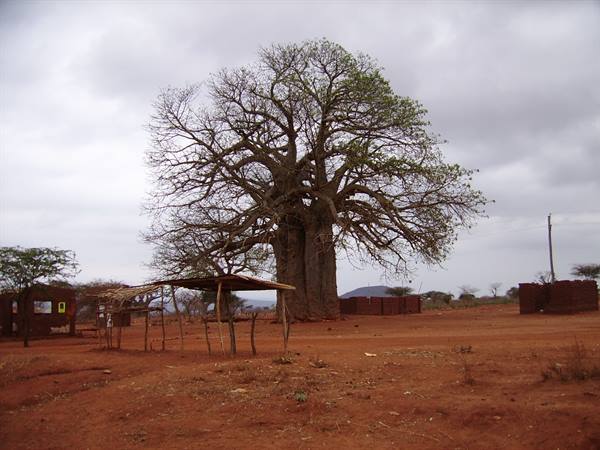 Travelling towards Tanzania