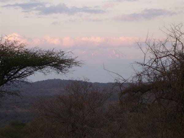 Kilimanjaro