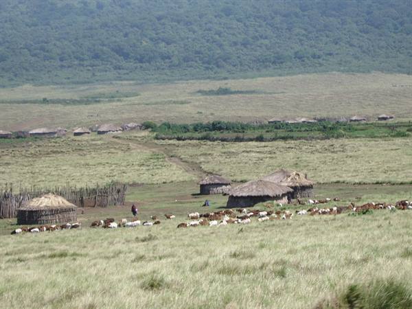 Village