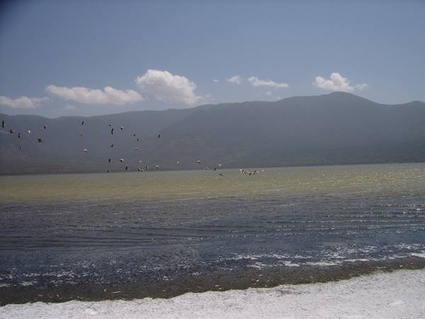 Lake in the Crater